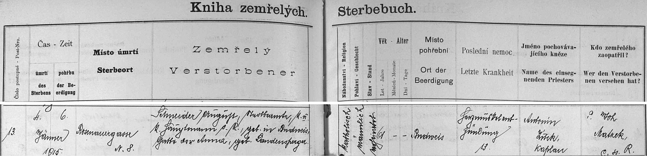 Zápis o úmrtí v českobudějovické knize zemřelých ho označuje vedle vojenské hodnosti i jako "městského úředníka", "poslední nemoc" je tu označena výrazem "Herzmuskelentzündung", tj. zánět srdečního svalu