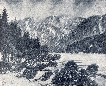 Dvě černobílé reprodukce jeho maleb s názvy Plešné jezero v předjaří a Okraj pralesa na Boubíně