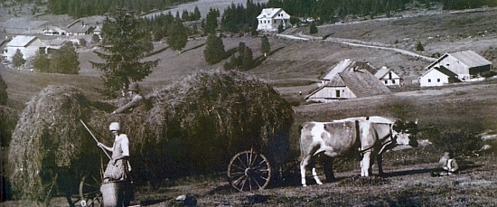 Proslulý hamr v Hraběcí Huti, v provozu rovných sto let od roku 1846 do odsunu, a Hraběcí Huť na celkovém záběru z někdejška