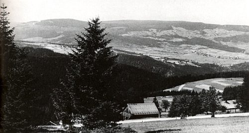 Uprostřed tohoto snímku, zachycujícího pohled od Zhůří na Hrádky (Schlösselwald) u Srní (Rehberg), vidíme střechu stavení čp. 12 Aloise Hofmanna a napravo od ní vykukuje z korun stromů střecha s komínem domu čp. 15, odkud pocházela Cäcilia, roz. Kricklová, o téměř 20 let mladší žena legendárního Seppa Rankla, se kterou měl sedm dětí