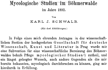 Záhlaví, první odstavec a jedna z ilustrací k jeho pojednání