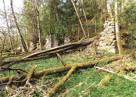 Ruiny loveckého zámečku u někdejší vsi Walddorf