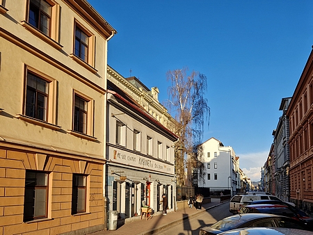 Pohled do dnešní českobudějovické Nové ulice - někde vlevo uprostřed stával Leppův rodný dům