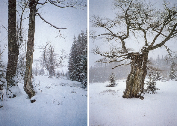 Dva nádherné zimní záběry z Jährling- a Rindl--Schachten figurují rovněž v obrazové příloze autorčiny práce