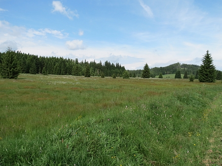 Krajina u zaniklých Jiřic