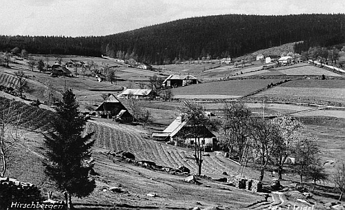 Jelení na pohlednici Josefa Seidela z počátku 20. století