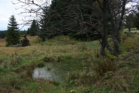 Zaniklý Scheurek v roce 2010