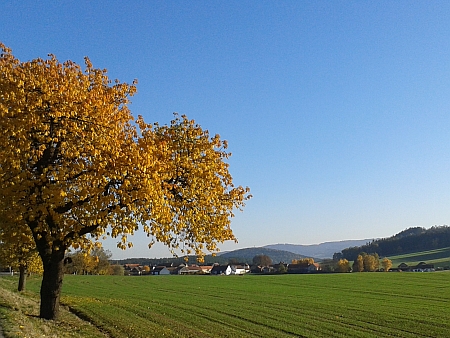 Podzimní pohled na Chmelnou