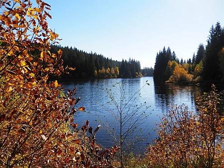 Pohořský rybník (Jiřická nádrž)