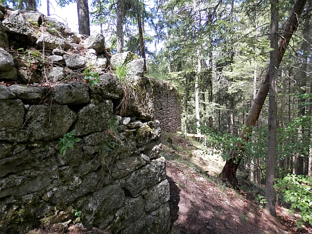 Zřícenina hradu Sokolčí (viz i Heinrich von Freiberg)