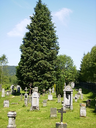 Hřbitov v Knížecích Pláních v roce 2010