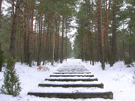 Symbolické betonové bloky vyznačují trasu železniční trati v koncentračním táboře Treblinka