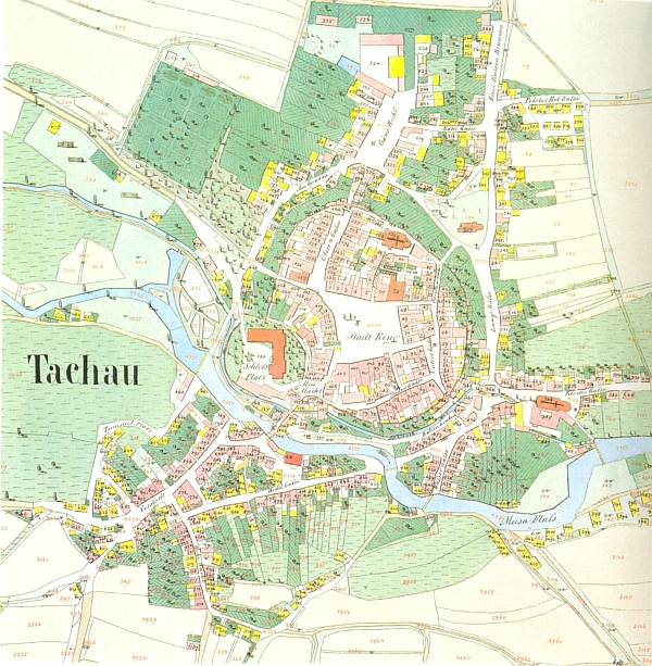 Tachov na mapě stabilního katastru z roku 1838