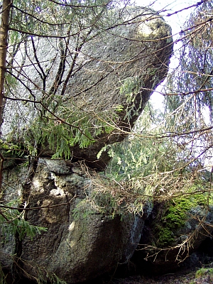 Zarostlá "Kamenná hlava" na snímcích šumavského autora Romana Kozáka z listopadu 2007...