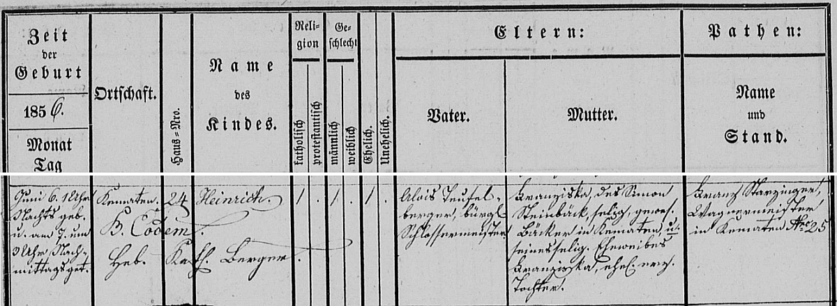Záznam o jeho narození v křestní matrice farní obce Steinerkirchen am Innbach, k jejímuž kostelu Maria Rast městys Kematen am Innbach přináležel