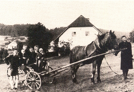 Z Horní Sněžné je i tento snímek z roku 1940, svědčící o vzácnosti koňské zápřeže na šumavských vsích