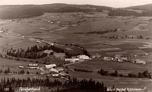Borová Lada na pohlednici Josefa Seidela, škola se do záběru nevešla, stojí dále u silnice, opouštějící snímek vpravo uprostřed