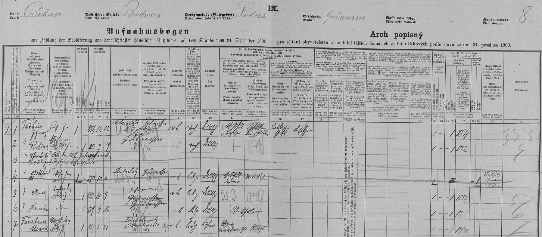 Arch sčítání lidu z roku 1900 pro dům čp. 8 na Dobré Vodě u Českých Budějovic s rodinou Trzebinovou