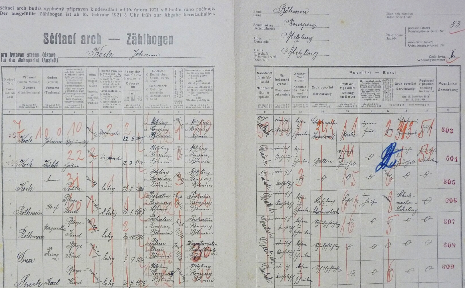Arch sčítání lidu z roku 1921 zaznamenává i ji v ani ne jednom roce věku