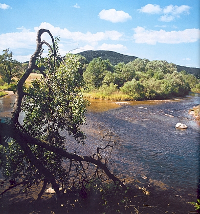 Soutok Teplé Vltavy a Řásnice u Lenory (Teplá Vltava přitéká od Kvildy, Řásnice od Strážného)