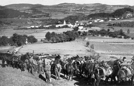 Horské dělostřelectvo wehrmachtu shromážděné v říjnu 1938 před Záblatím
na snímku z nacistické propagační publikace