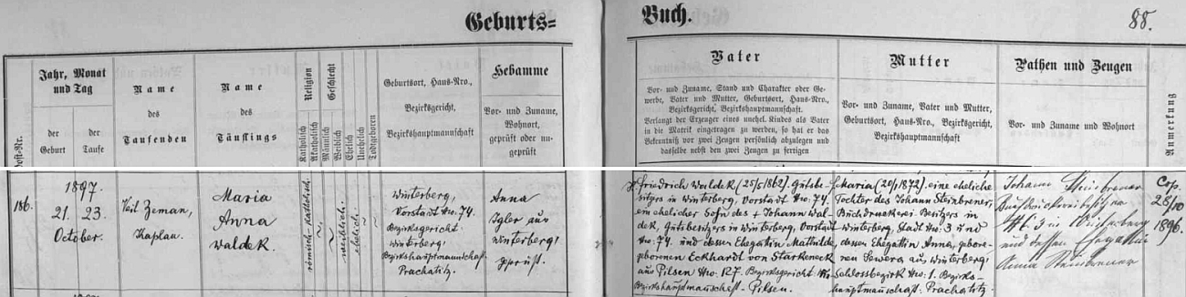 Podle záznamu ve vimperské matrice narodila se na zdejším předměstí čp. 74 Friedrichu a Marii Waldekovým, přičemž jako kmotři dítěte tu v kolonce napravo figurují Johann a Anna Steibrenerovi, tj. matčini rodiše