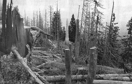 Žulový obelisk nad Plešným jezerem na snímcích z roku 2008, zachycujících řádění kůrovce i zmlazení lesa na Plechém