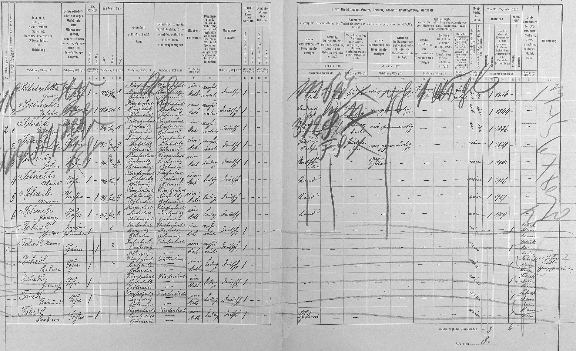 Arch sčítání lidu z roku 1910 pro stavení čp. 39 na Knížecích Pláních, kde bydleli prarodiče Selbitschkovi, rodina Schreibova i s budoucí Wastlovou nevěstou Marií a také rodina "polovičního invalidy" Tahedla