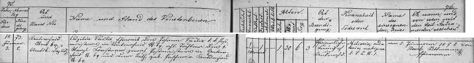 Záznam v knize zemřelých farní obce Dolní Dvořiště o úmrtí prvé otcovy ženy Cäzilie 3. ledna roku 1873 (její dívčí jméno je tu psáno Forstner namísto Forster)