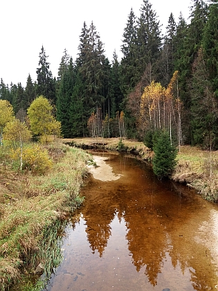 Studená Vltava u Nového Údolí a Stožce...