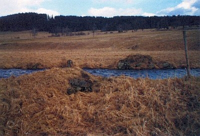 Tady za někdejším mostem přes mladou Vltavu stávala Slatina