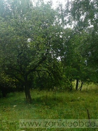 Ruiny stavení a ovocné stromy v zaniklém rodném Podolí