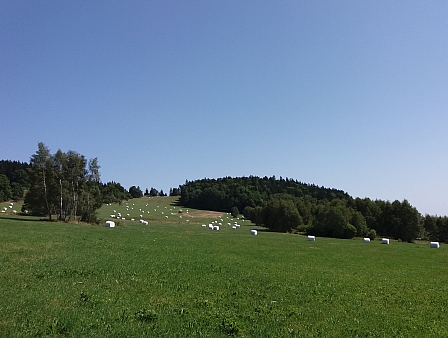 Tady někde (v popředí snímků) stával rodný dům