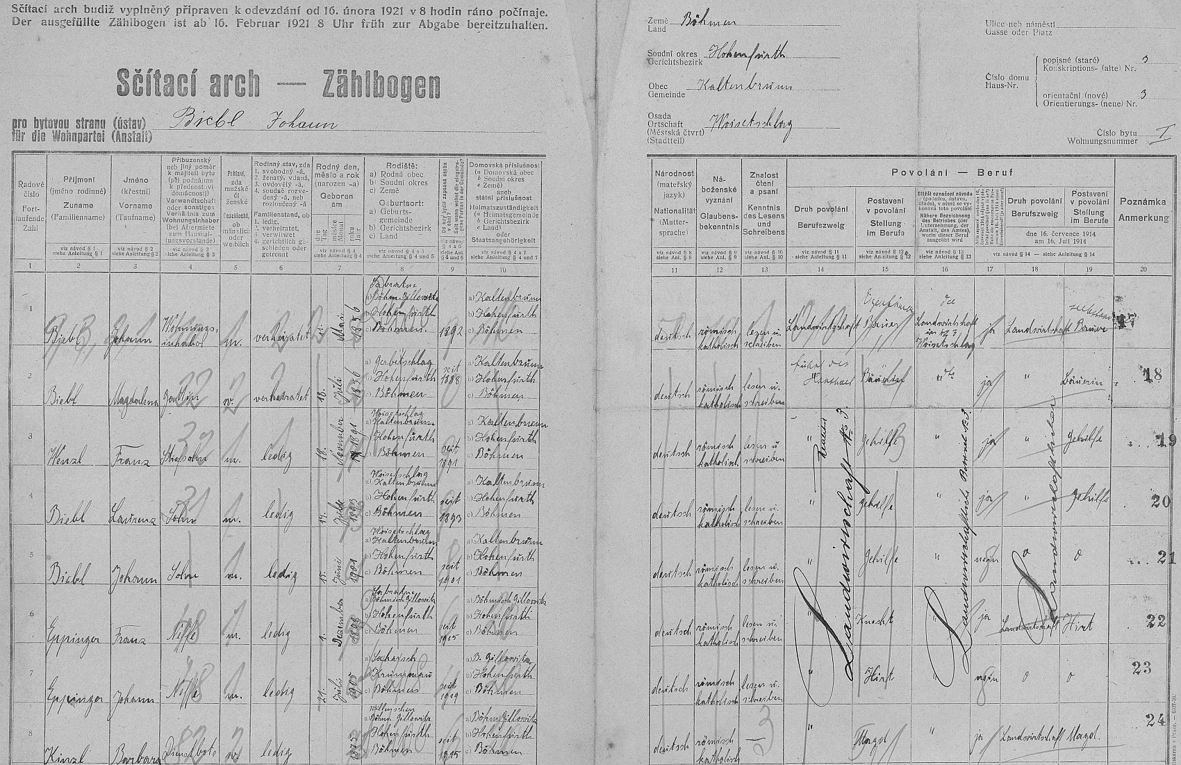 Arch sčítání lidu z roku 1921 pro dům čp. 3 v Boršíkově