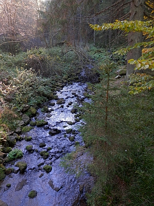 Pohořský potok - na dně byly v některých místech umístěny dubové trámy pro zlepšení splavnosti (snímky z roku 2018)