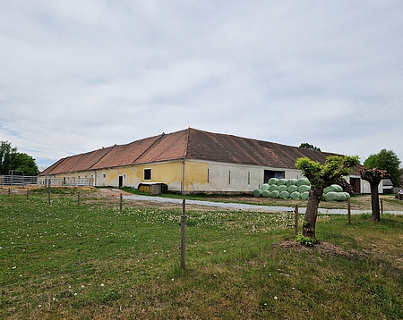 Rodný statek čp. 47 v Bukové