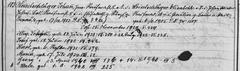 Rodový katastr vyšebrodské matriky zachycuje i datum jeho narození v rodině Johanna Woisetschlägera a jeho ženy Elisabeth, jejíž dívčí příjmení znělo stejně