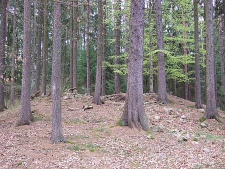 Mohyly v lese Kopřivna