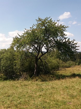 Tady stávala Krásná Hora