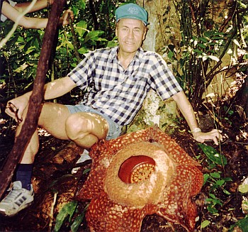 Na Sumatře s největším květem v rostlinné říši (Rafflesia arnoldii)