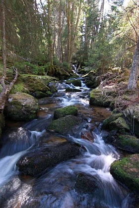 Stodůlecký mlýn Mahlmühle čp. 76 a Mlýnský potok (Mühlbach), který ho poháněl