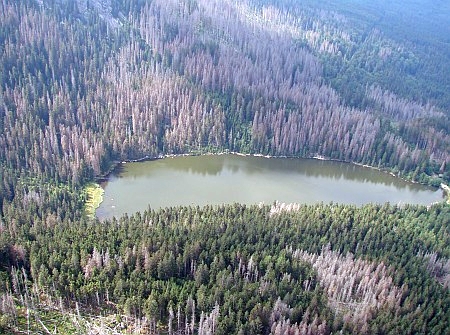 Plešné jezero dnes se značně porušenou stromovou vegetací (2006 a 2009)